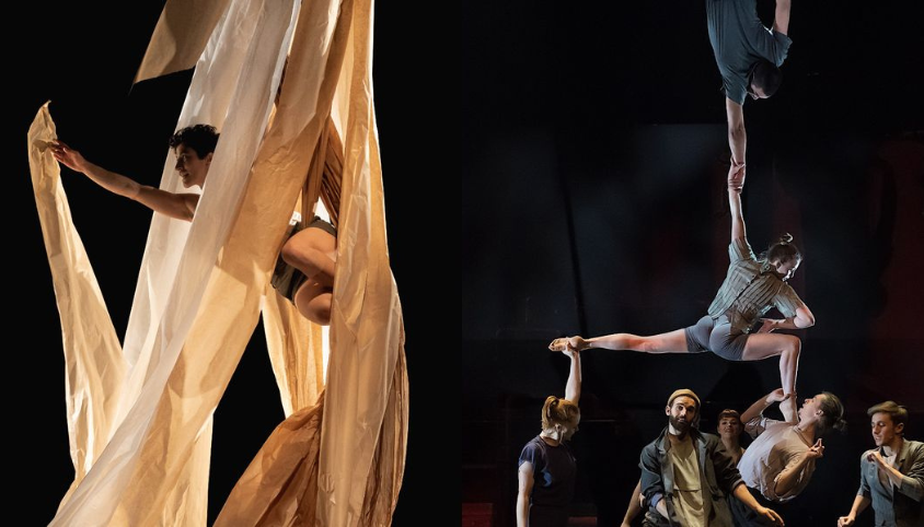 2023台北馬戲節登陸北藝中心！超現實的舞台呈現帶你躍入「當代馬戲」的魔幻世界